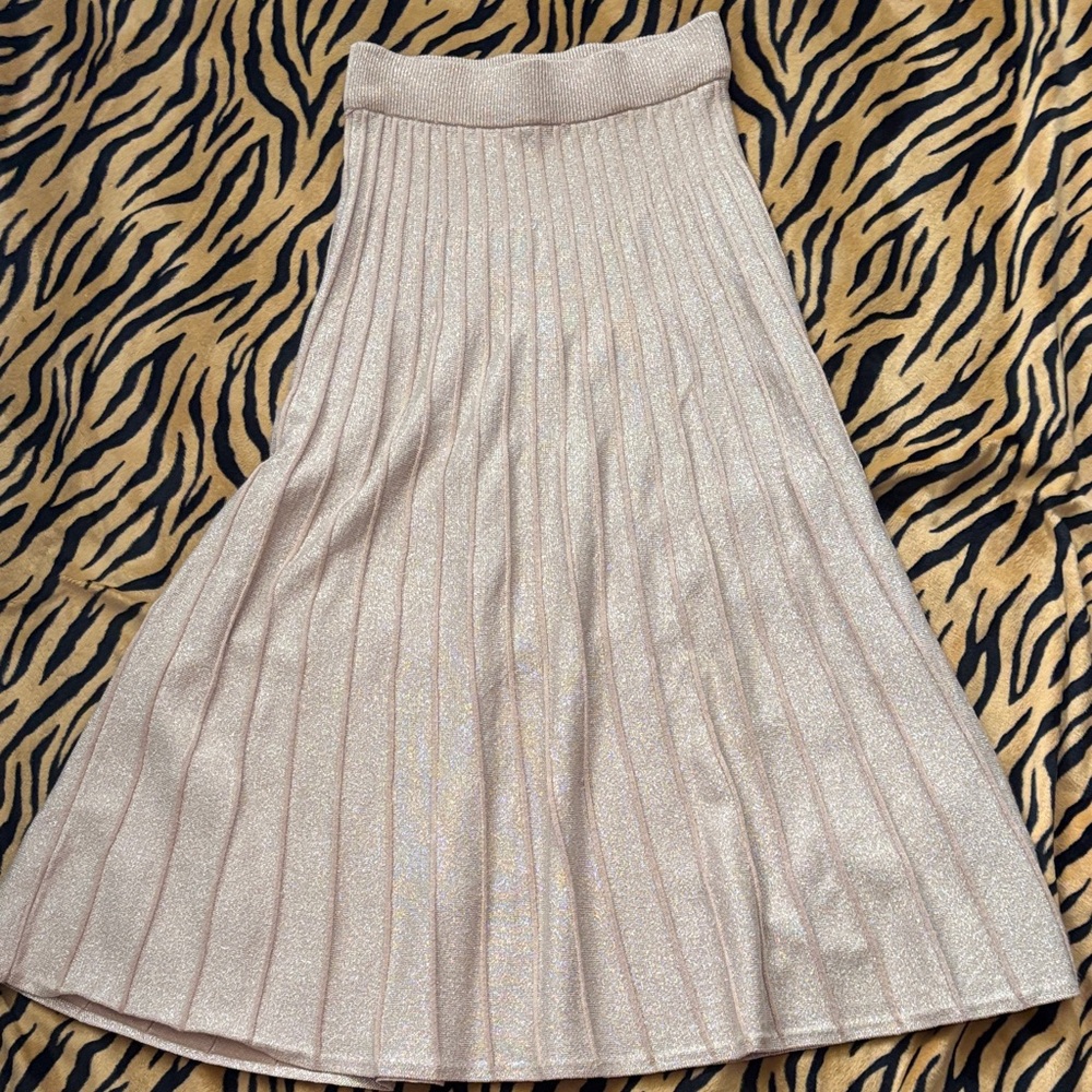 Ann Taylor Shimmering Cream A-Line Skirt NWOT